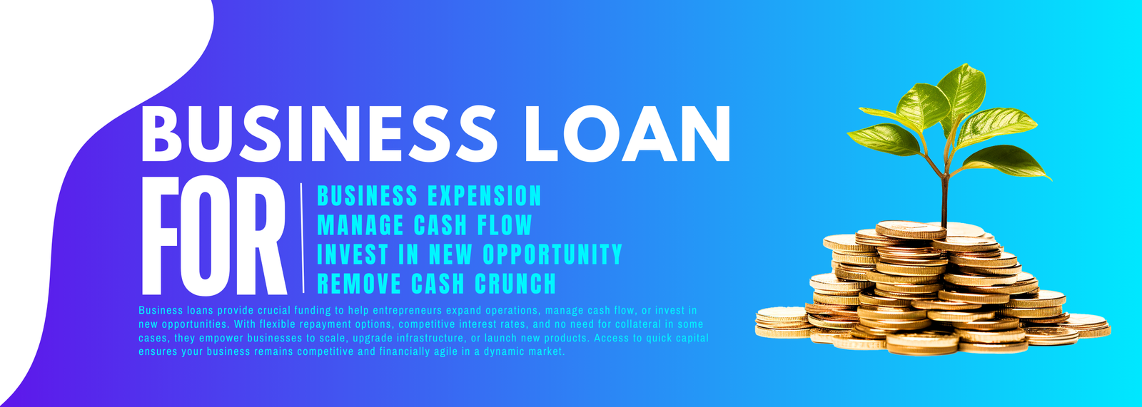 BUSINESS LOAN